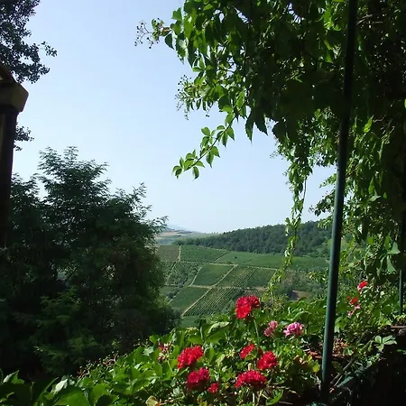 Tra Le Vigne