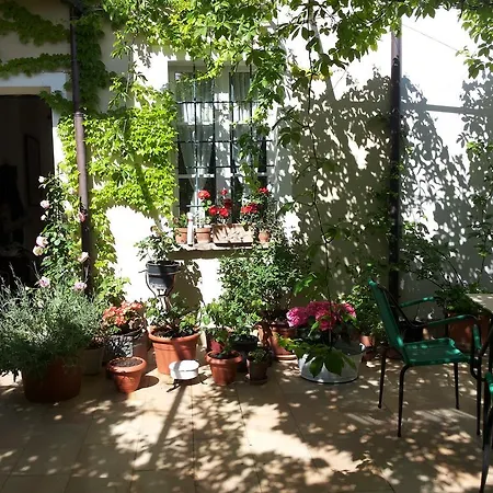 Bed & Breakfast Tra Le Vigne *